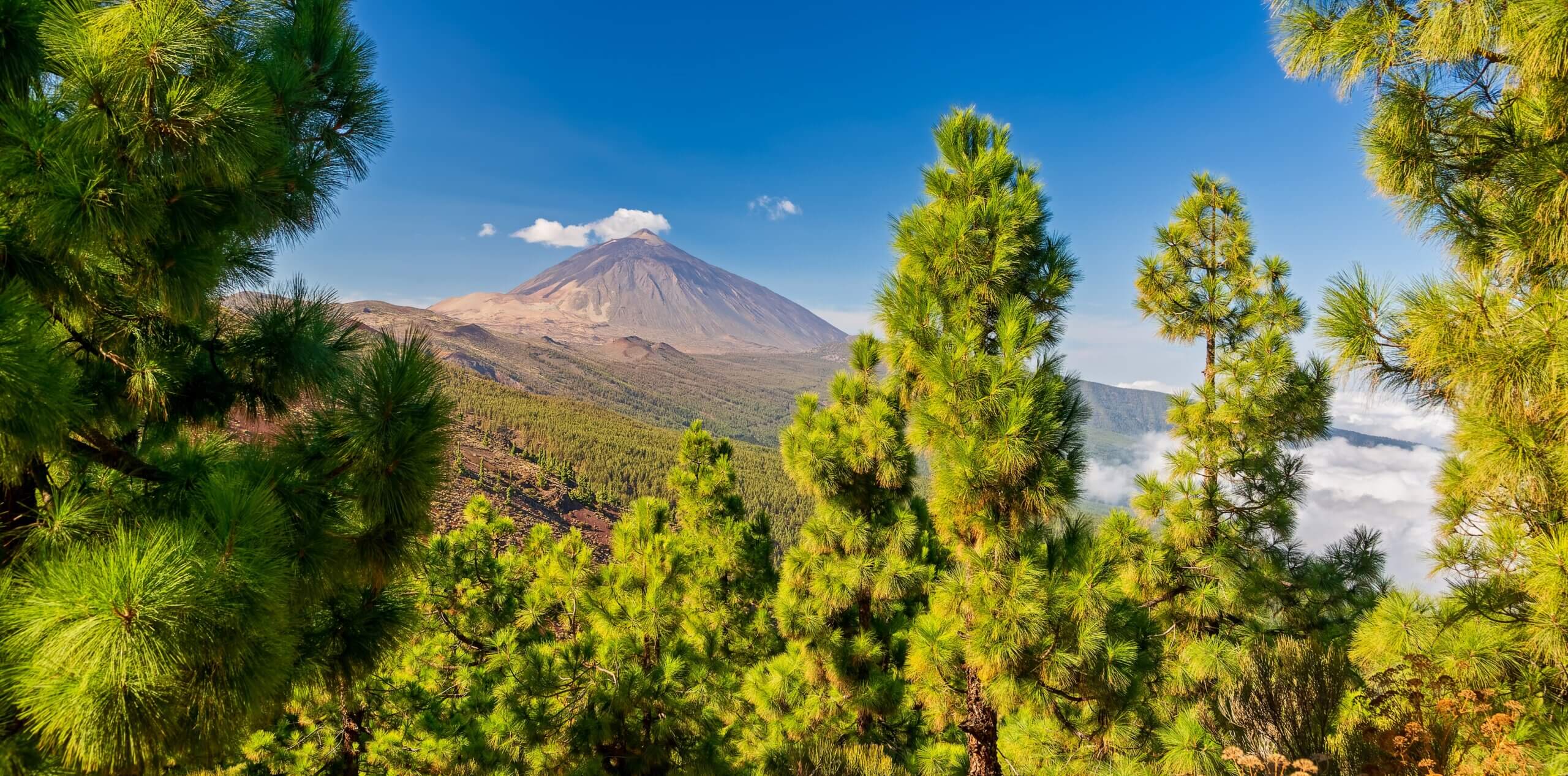 Udsigt til vulkanen Teide på Tenerife